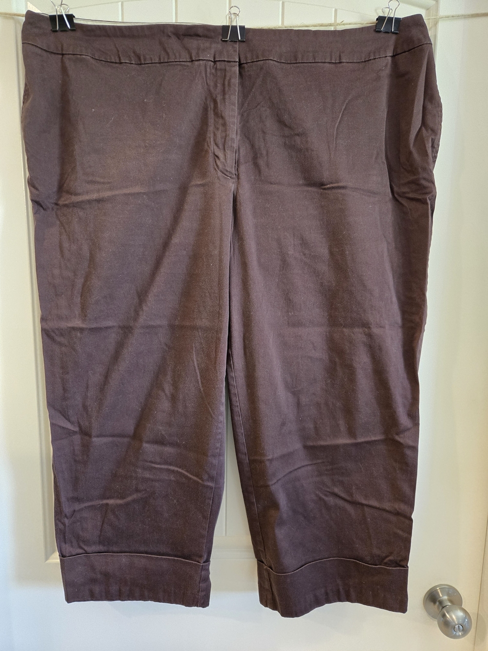 Avenue Womens Plus Stretch Capri Brown Size 24